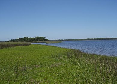 Salt marsh. Courtesy of John Baker.