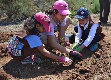 A woman and two girls plant a tree to restore an ecosystem. Courtesy of U.S. Fish and Wildlife Service and Lisa Cox.